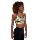AIFFIA Motherland 1 BLK Sports Bra