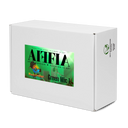 ABS Green Mic 1 BLK Womans high top canvas shoes