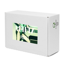 AIFFIA POKA 1 WHT Women’s high top canvas shoes